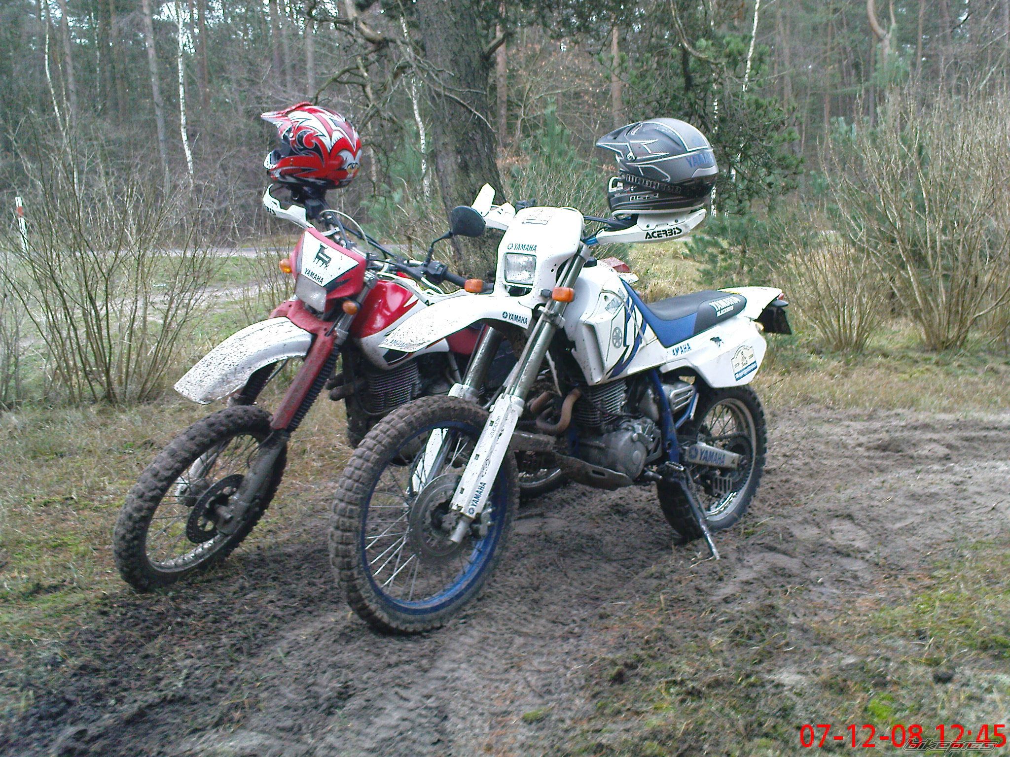 Photo 1532679