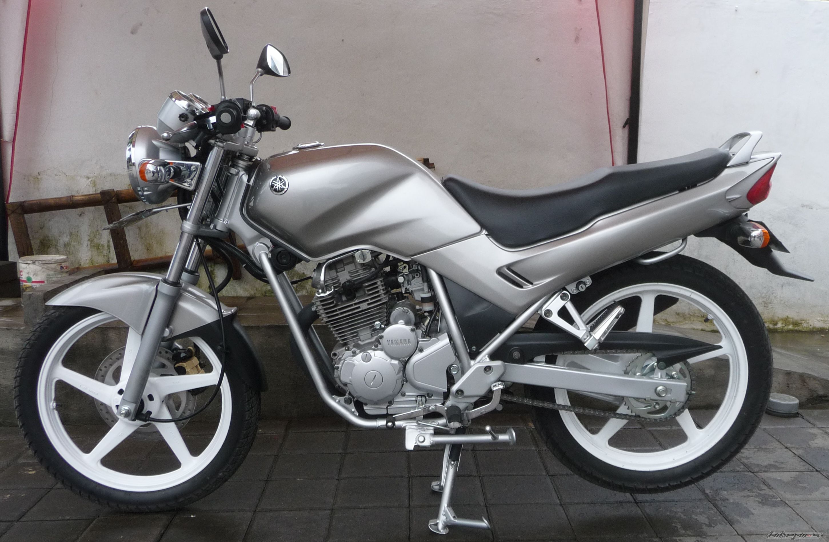 Photo 1532728