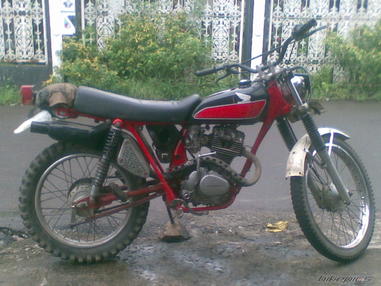 Photo 1532753
