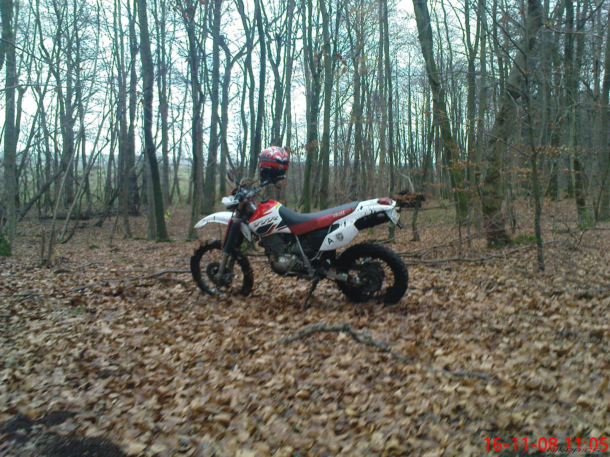 Bike Photo 1532771