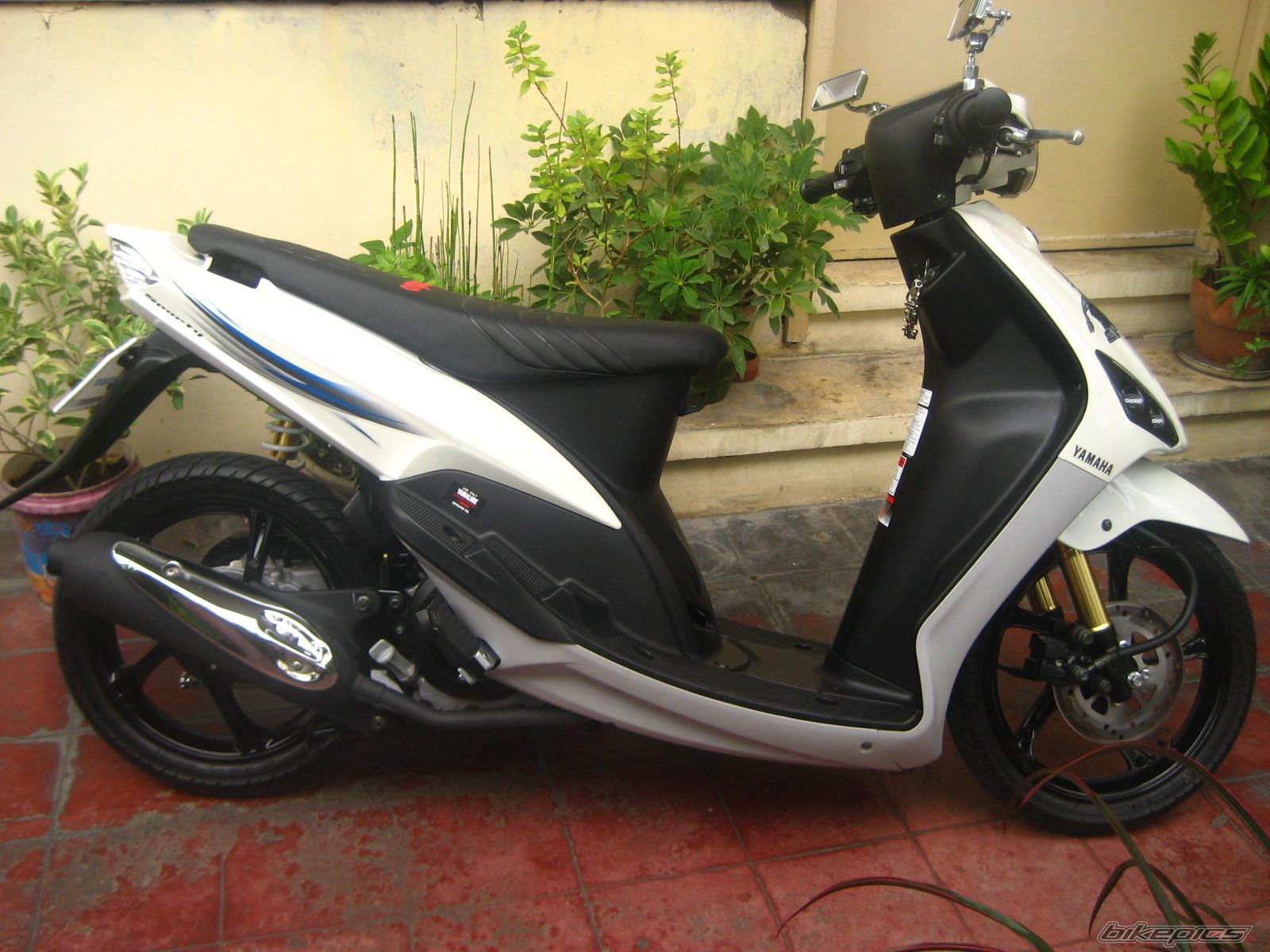 Photo 1532783