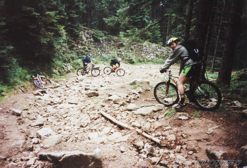 Photo 1532826