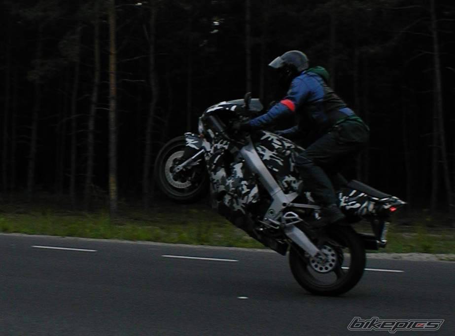 Photo 153291