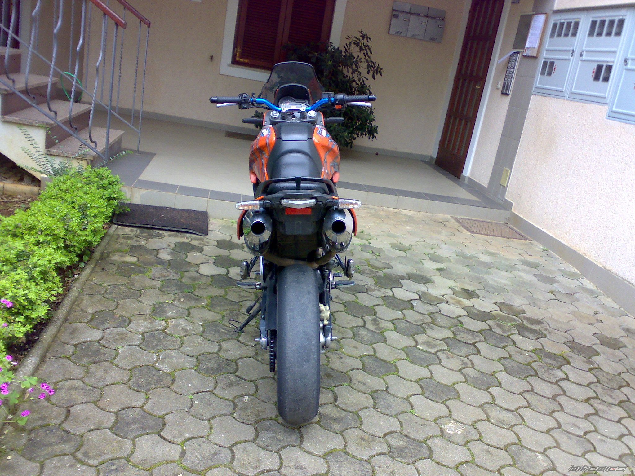 Photo 1533004