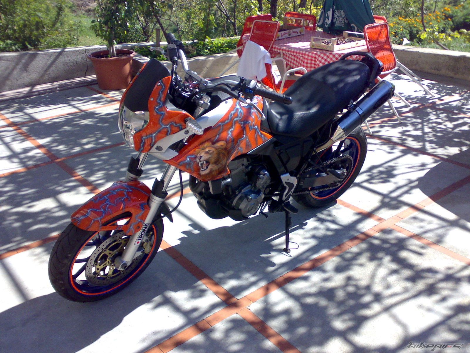Photo 1533019