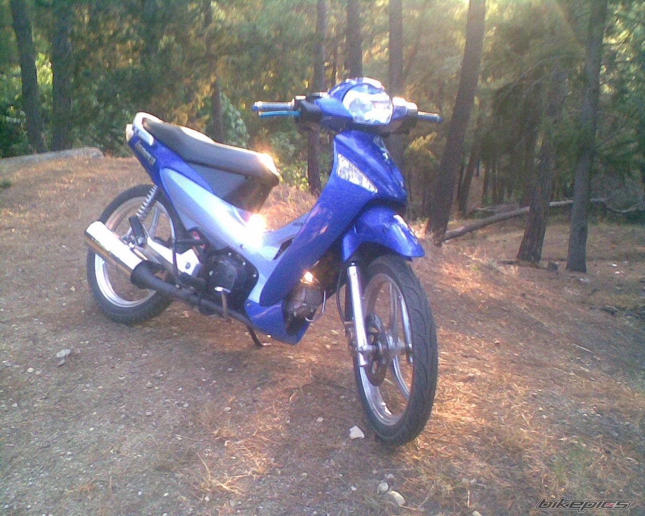 Photo 1533069