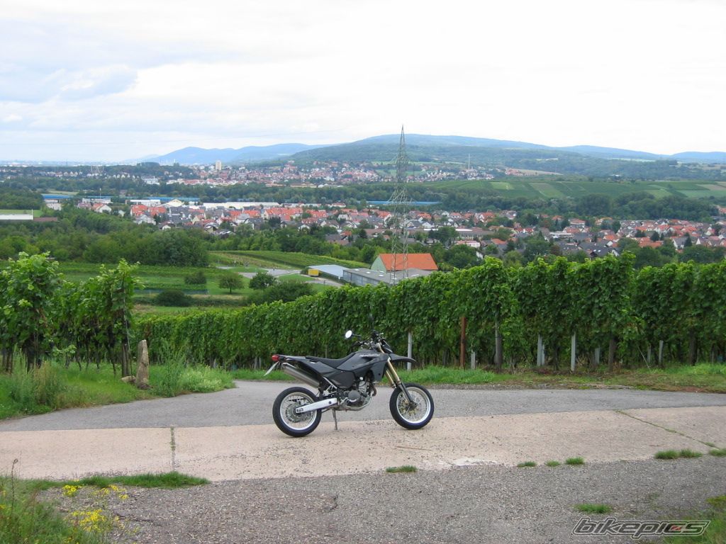 Photo 1533082