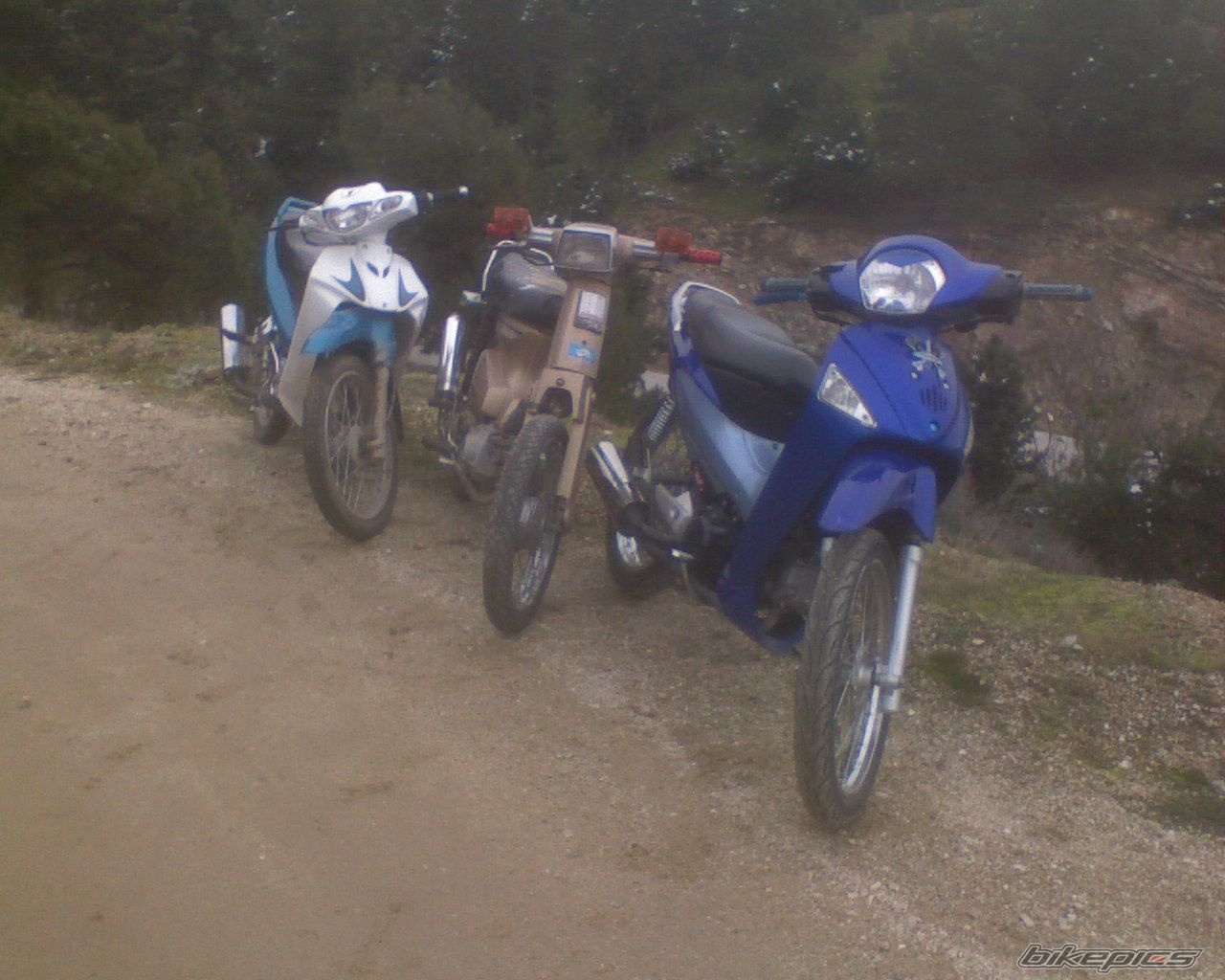 Photo 1533098