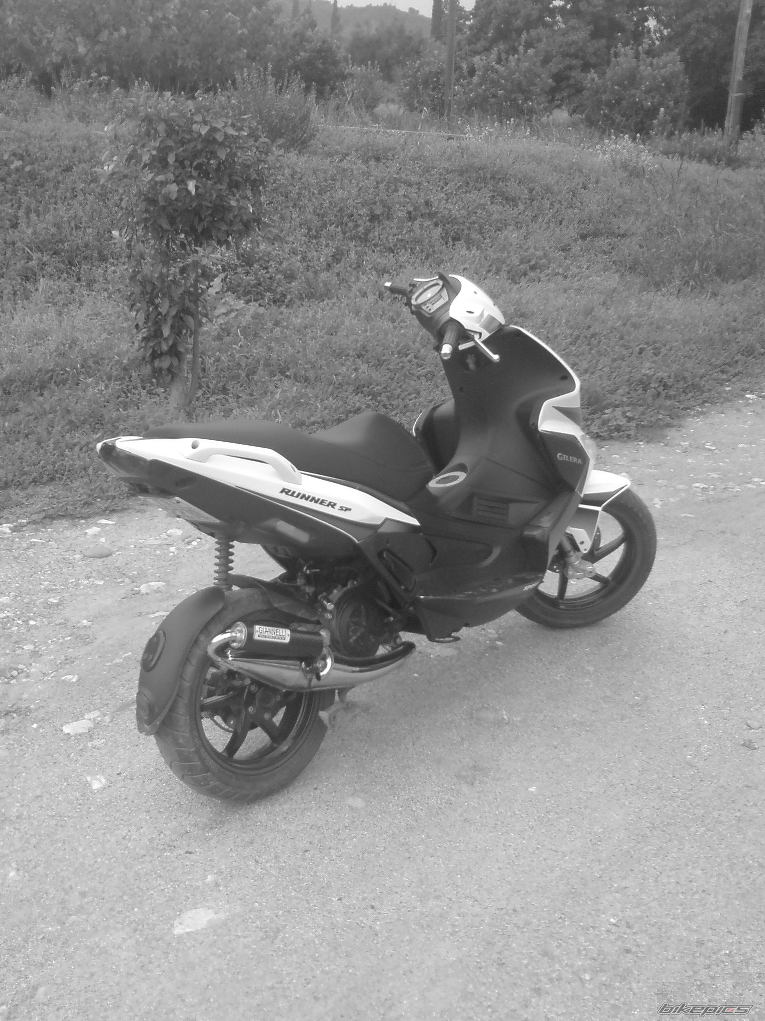Photo 1533101