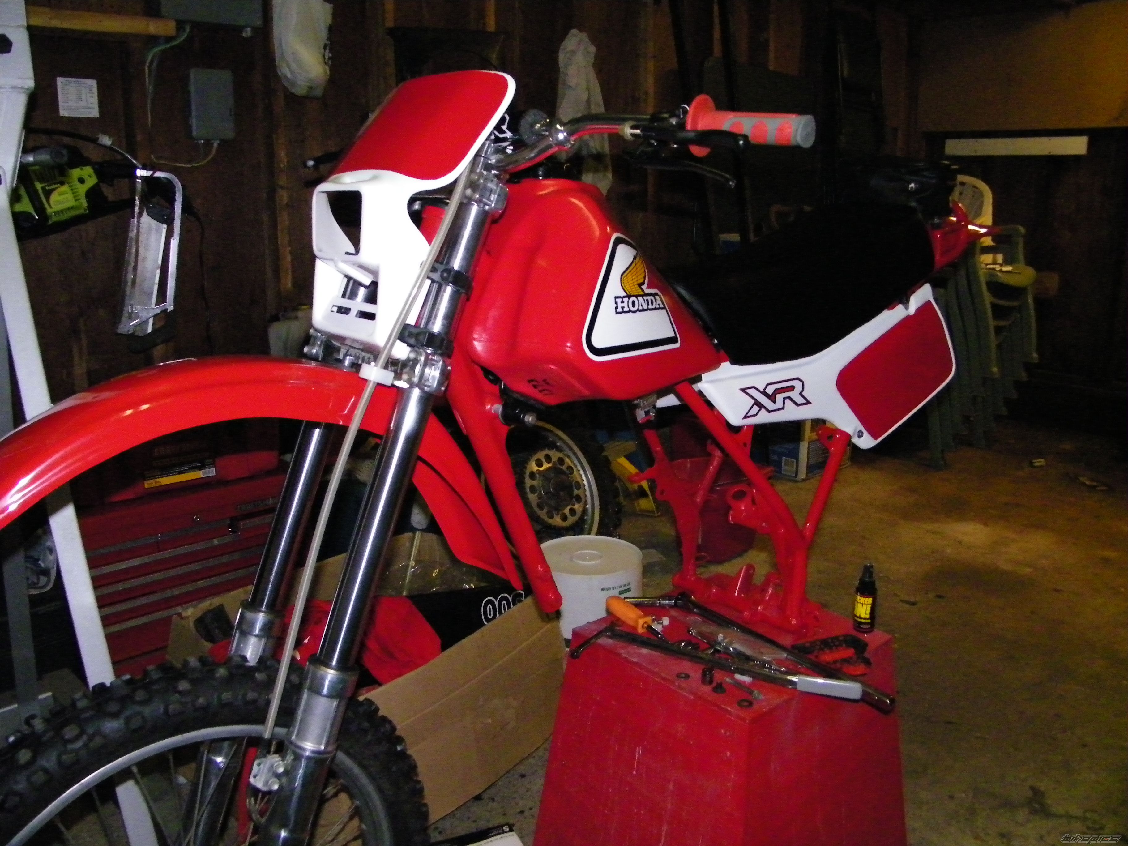 Photo 1533157