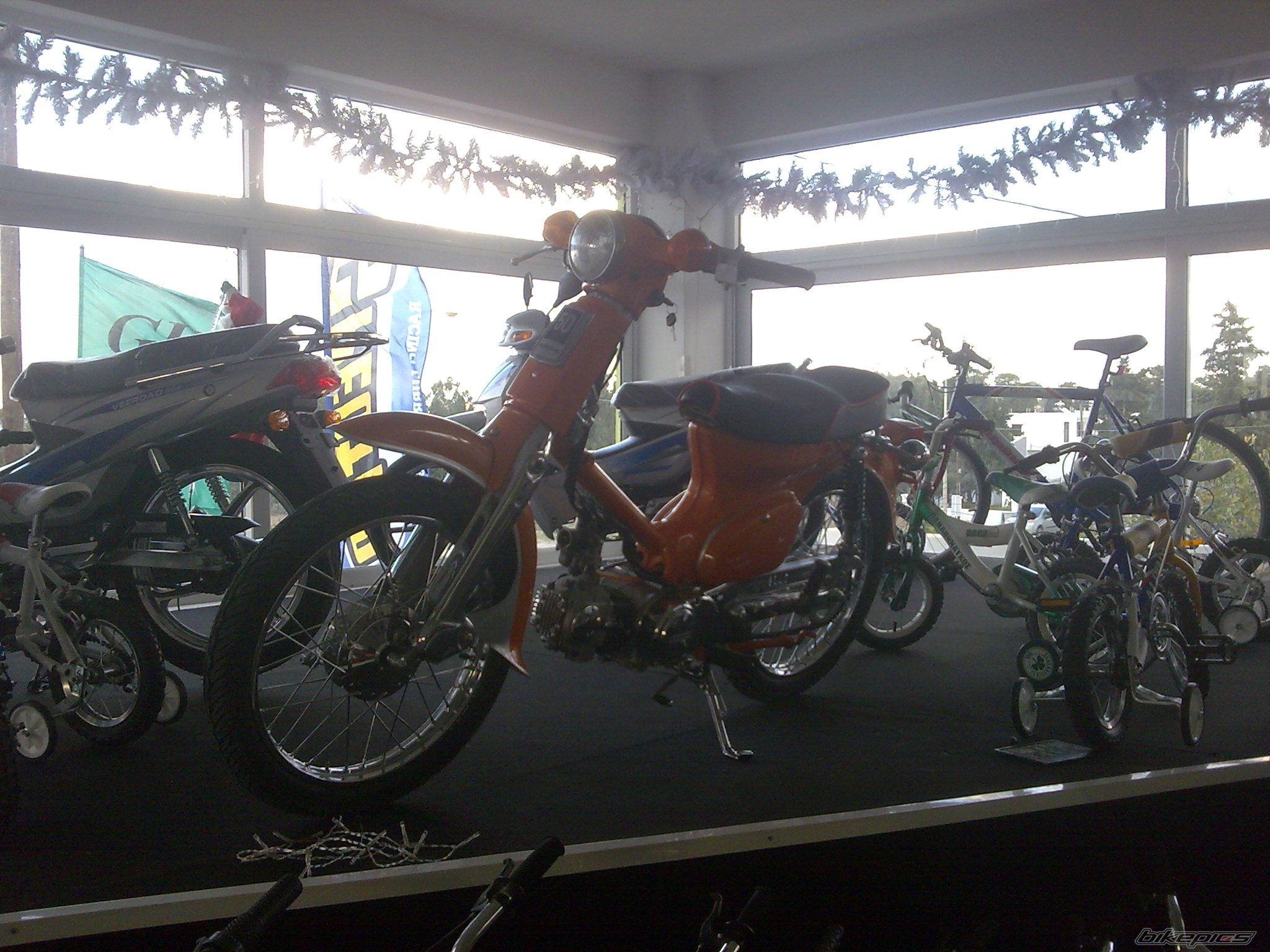 Photo 1533191