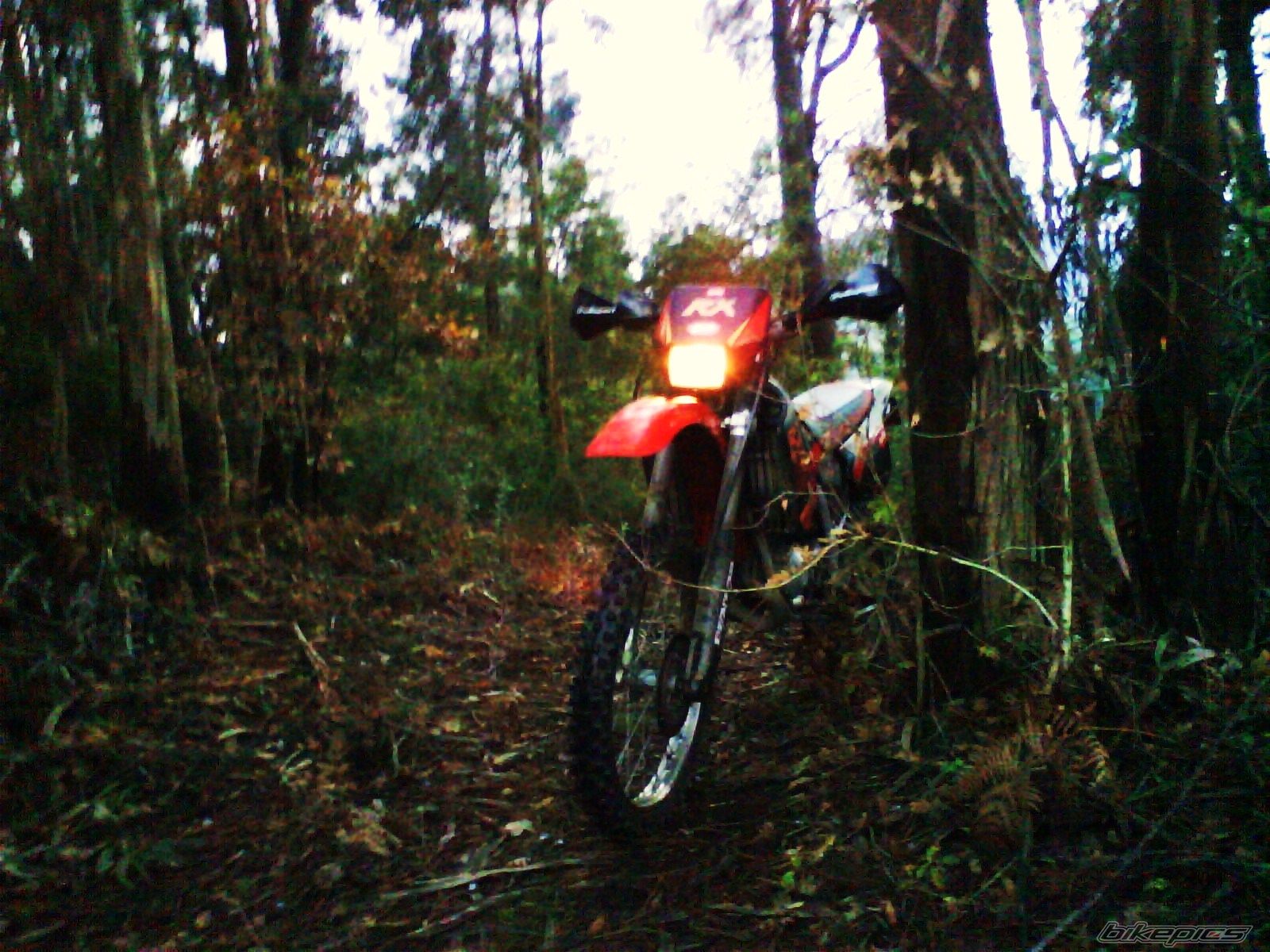 Photo 1533247