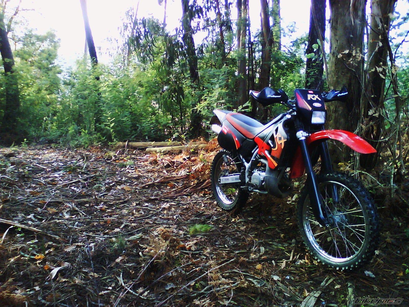 Photo 1533250