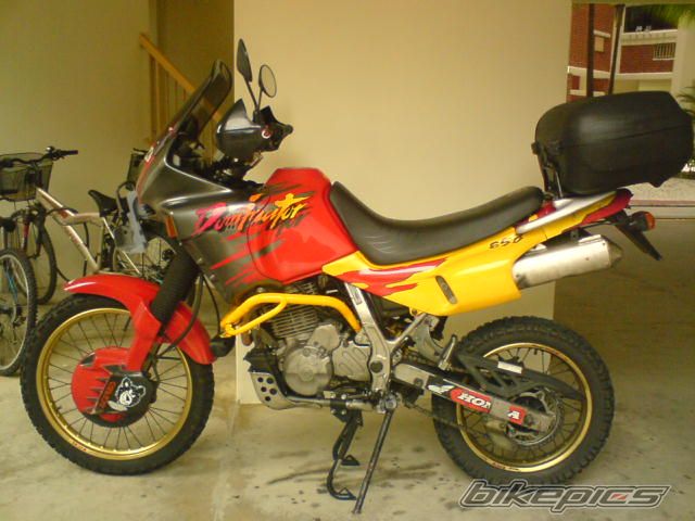 Photo 1533274