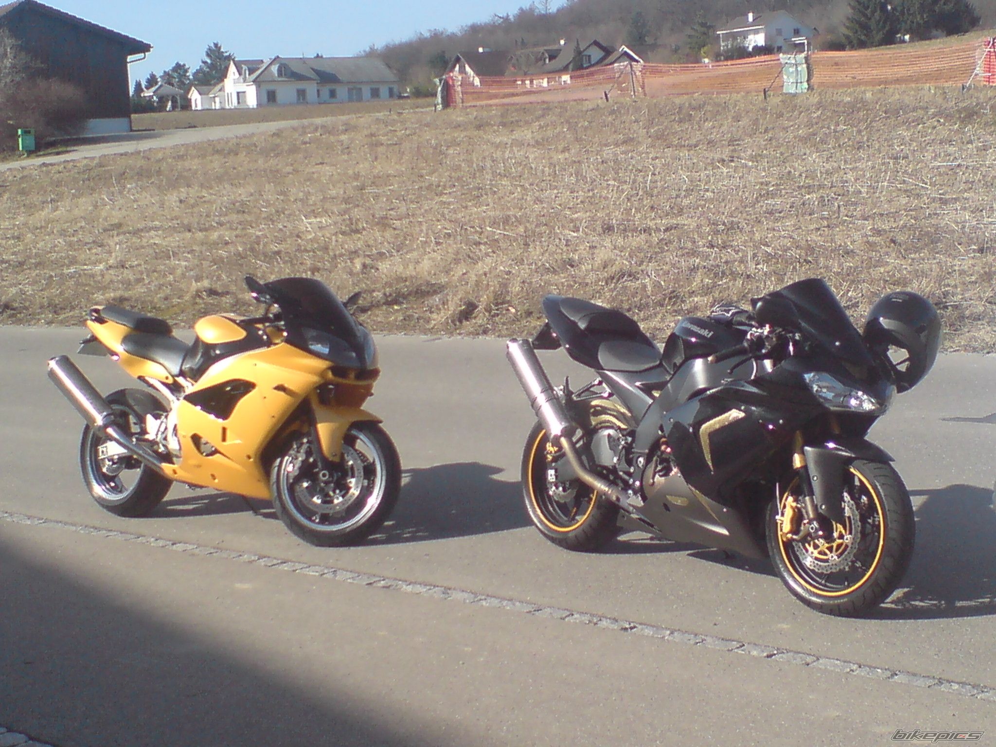 Photo 1533286