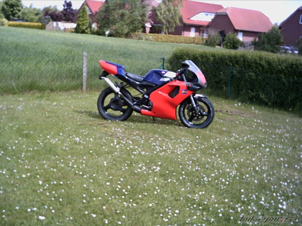 Photo 153329