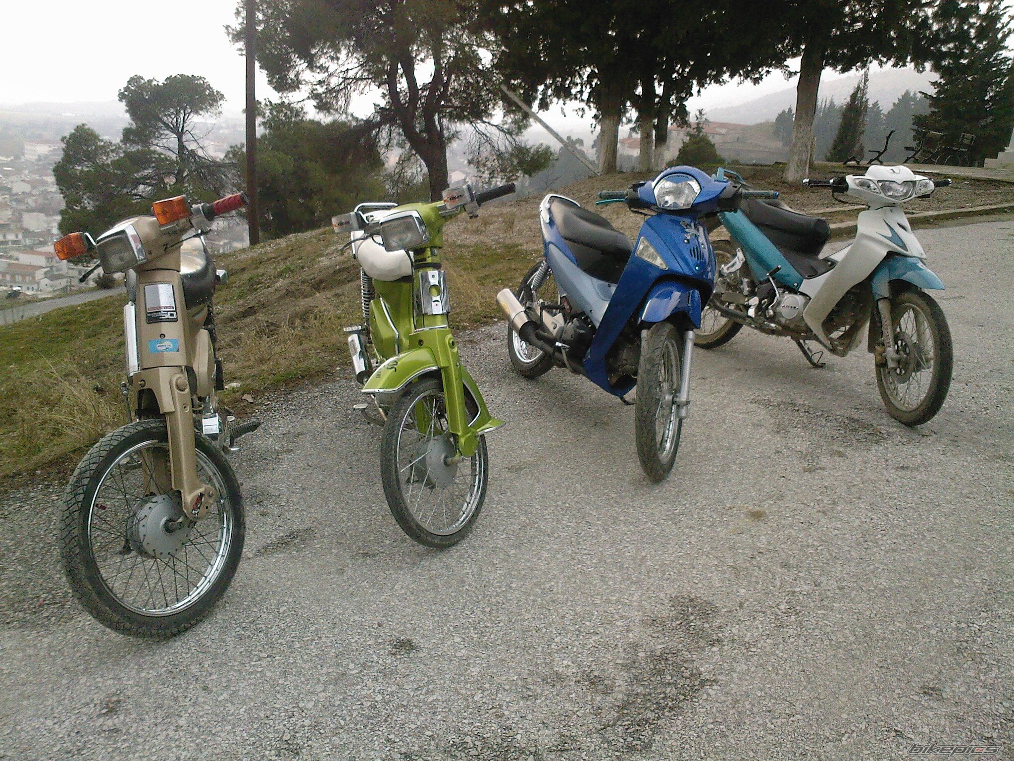 Photo 1533303