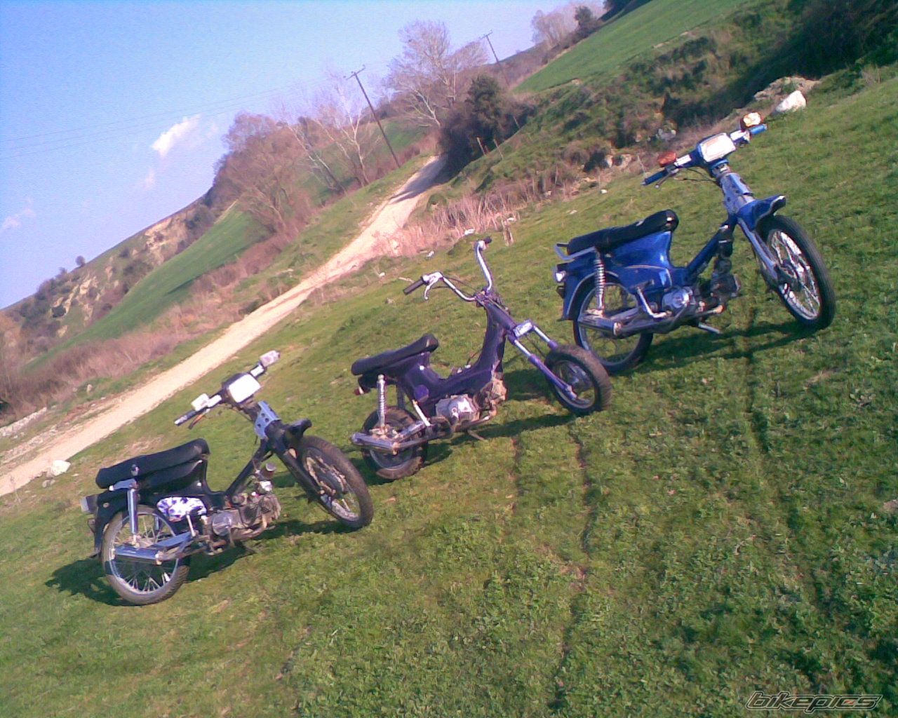 Photo 1533312