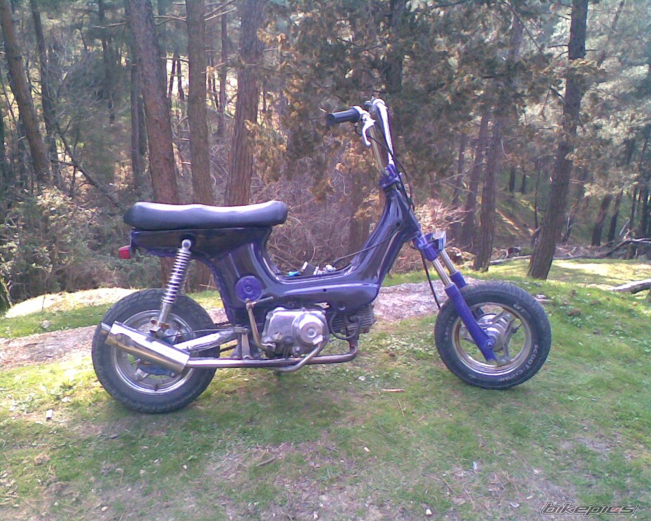 Photo 1533313
