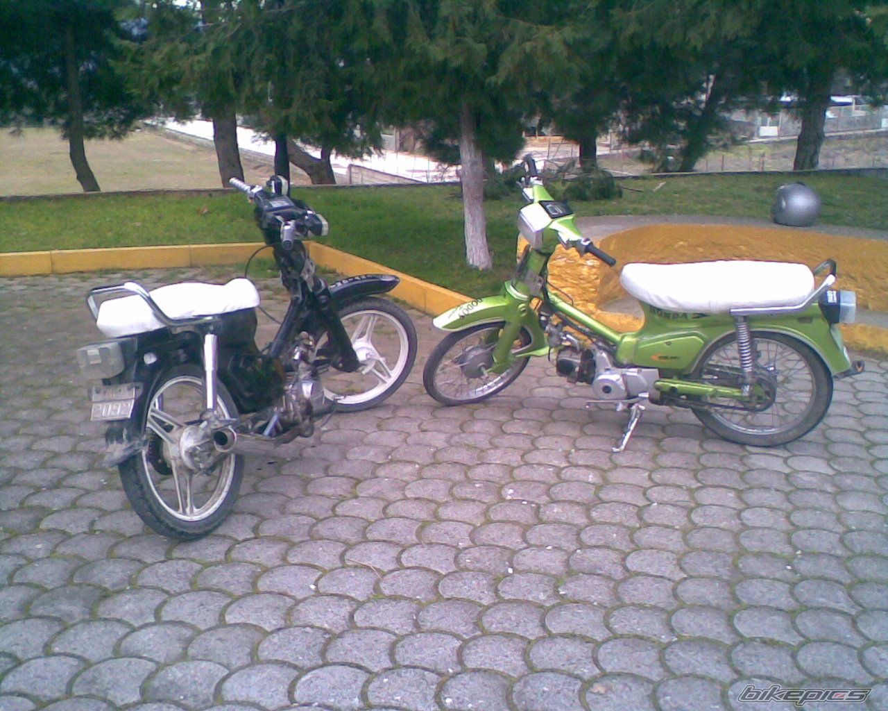Photo 1533323
