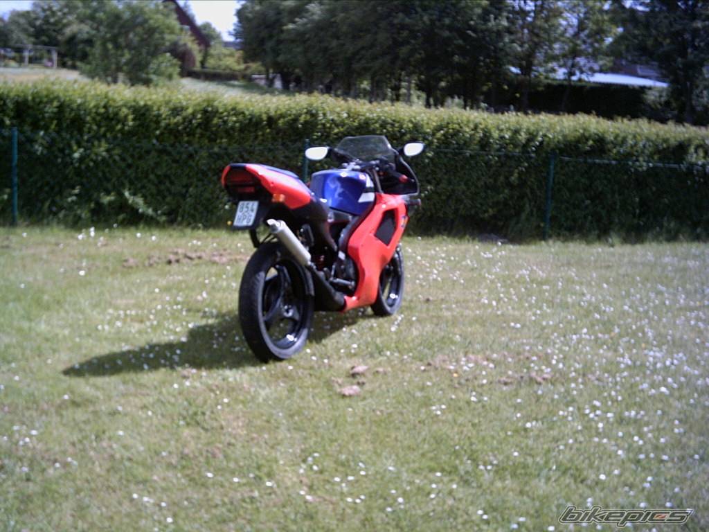 Photo 153333