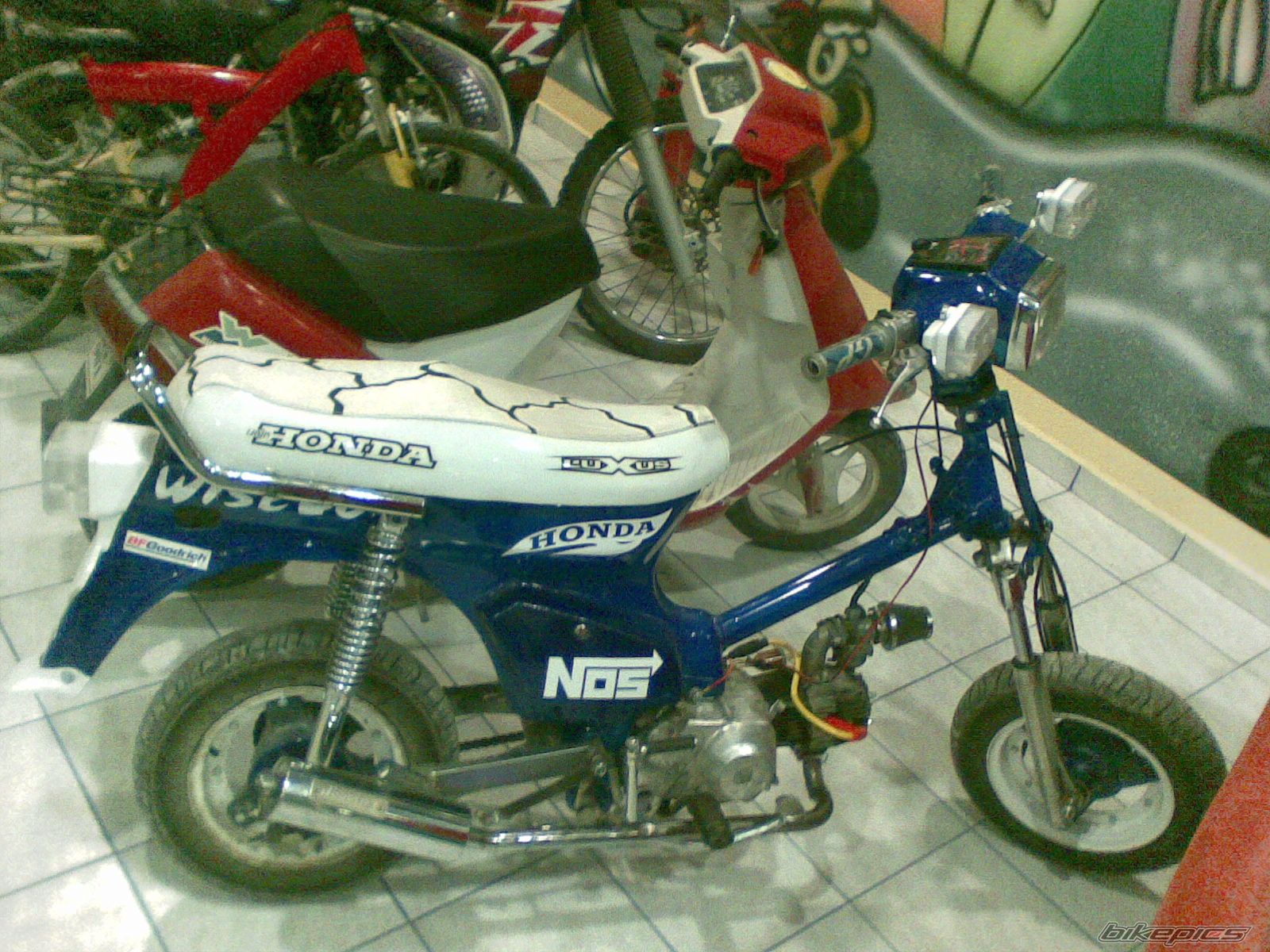 Photo 1533333