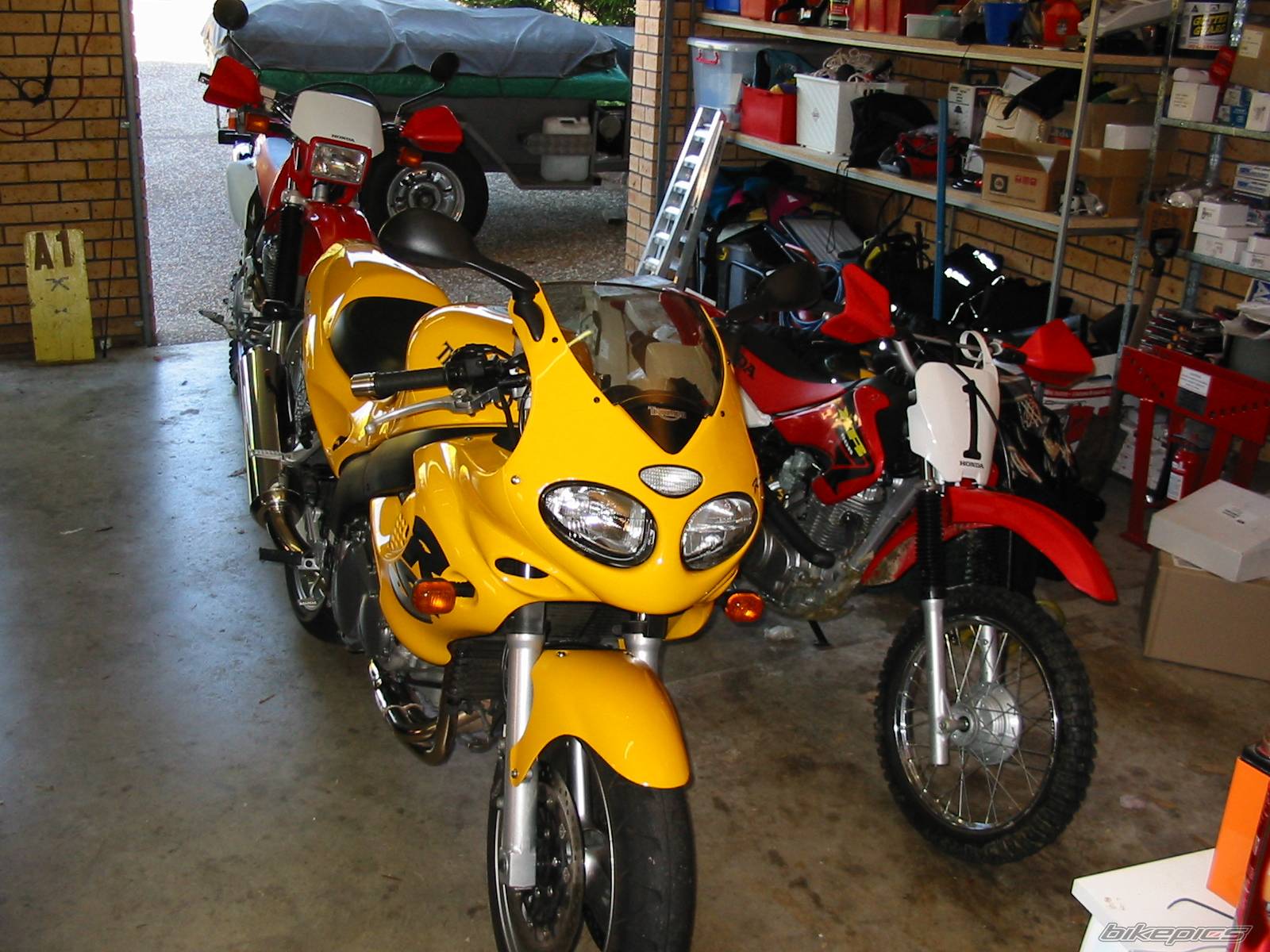 Photo 153336