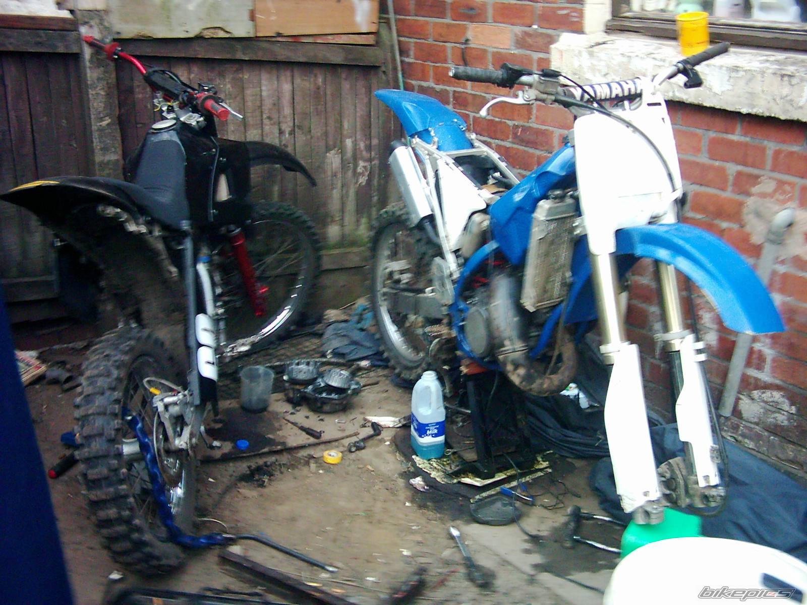 Photo 153345
