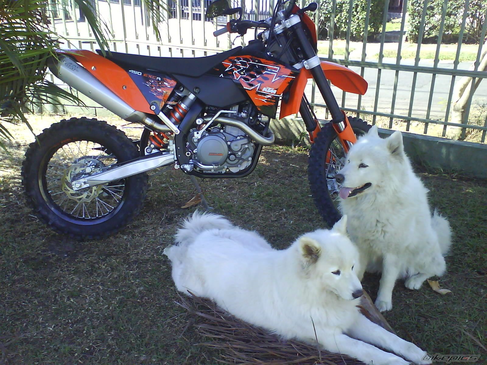 Photo 1533456