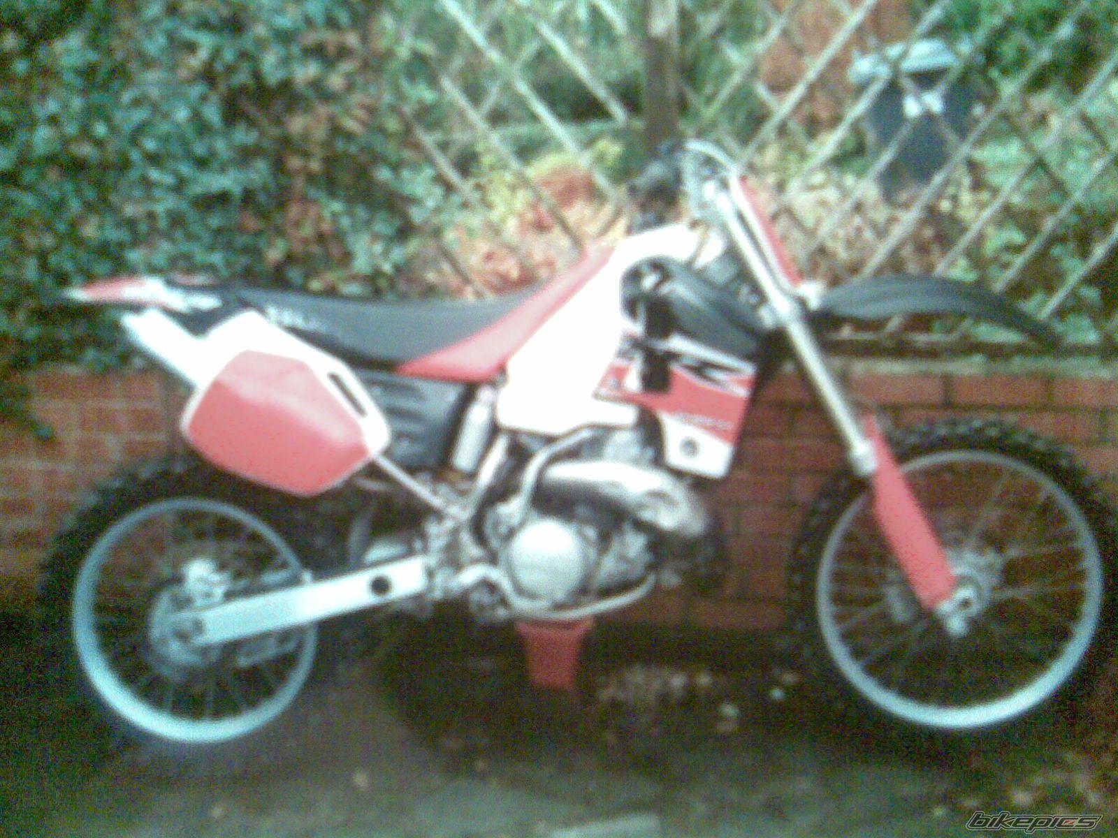 Bike Photo 1533635
