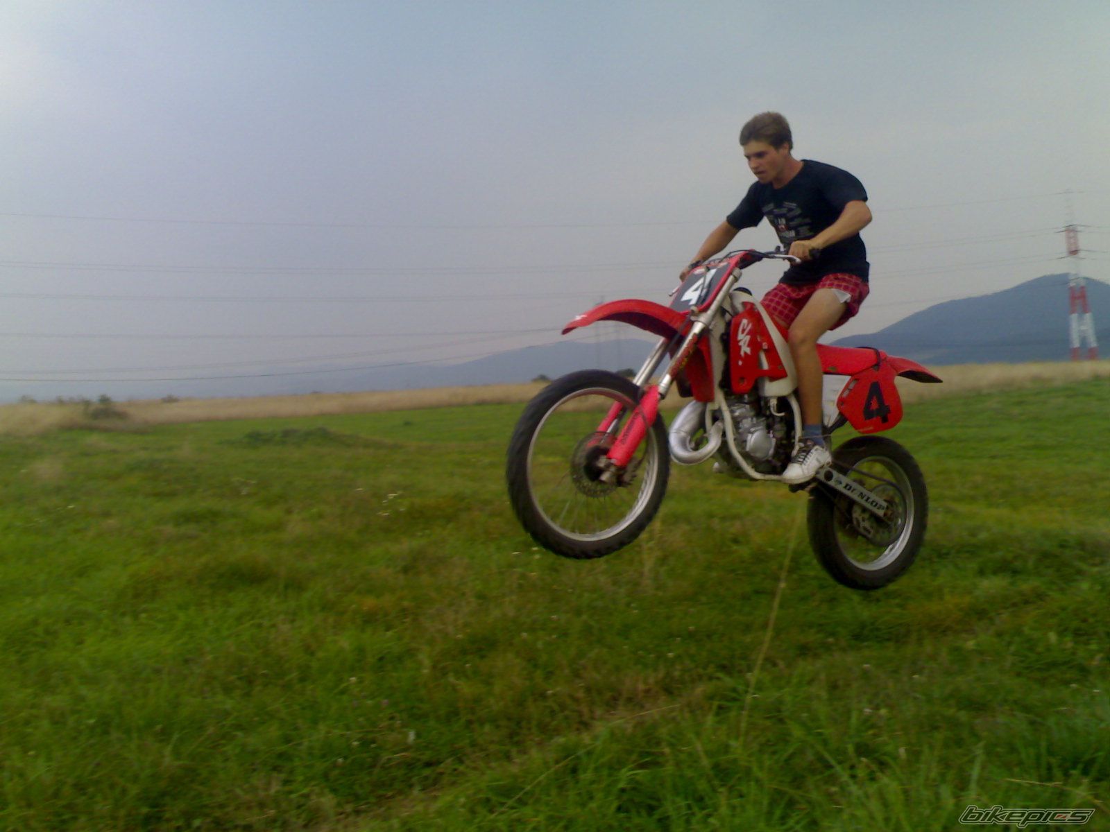 Photo 1533765