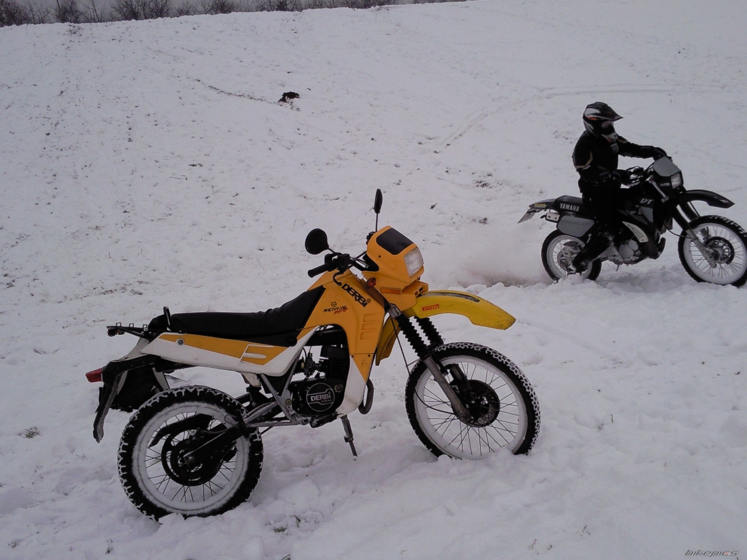 Photo 1533795