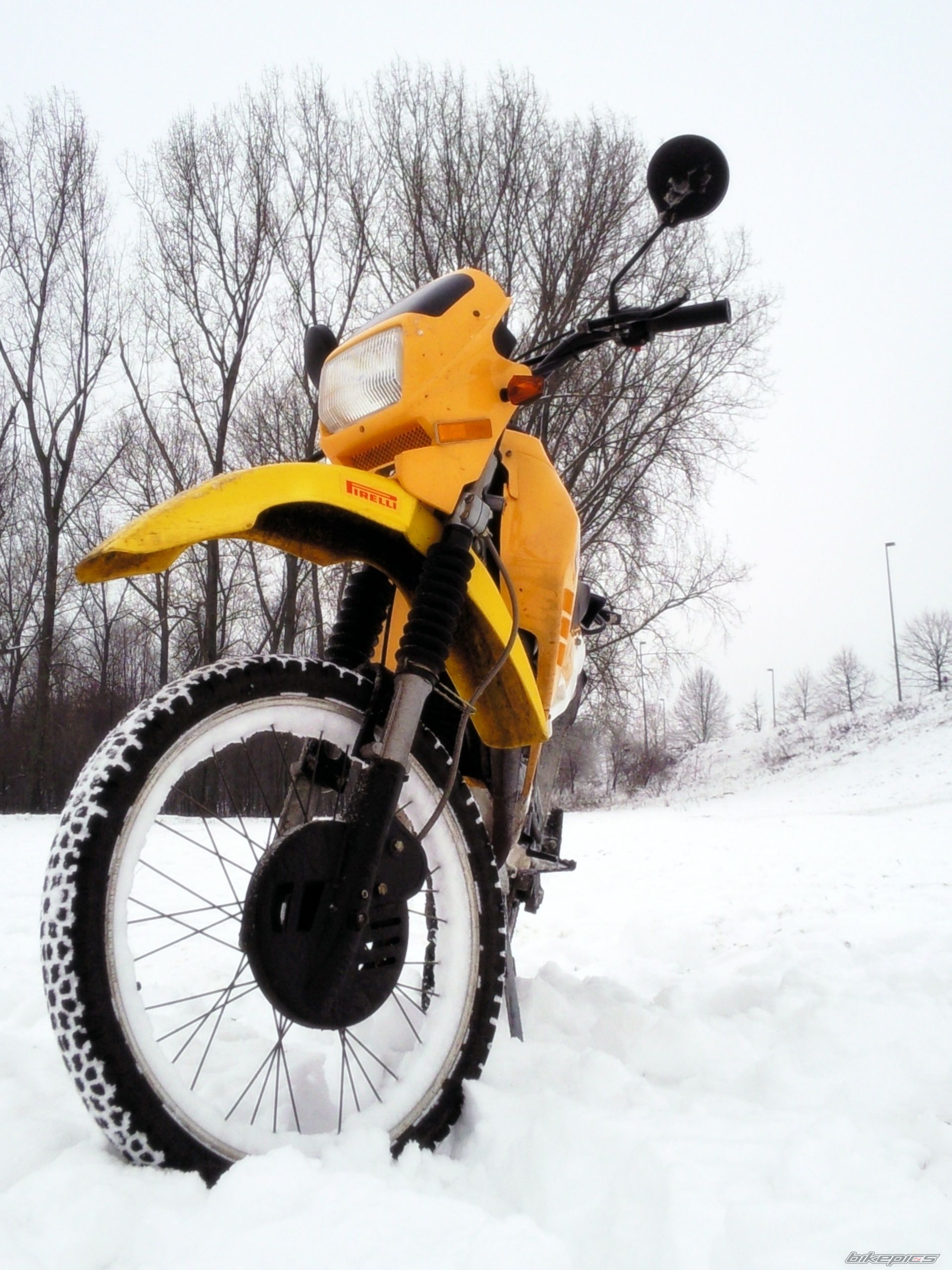 Photo 1533798