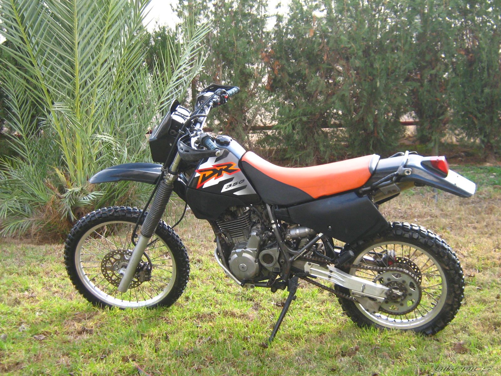 Photo 1533804