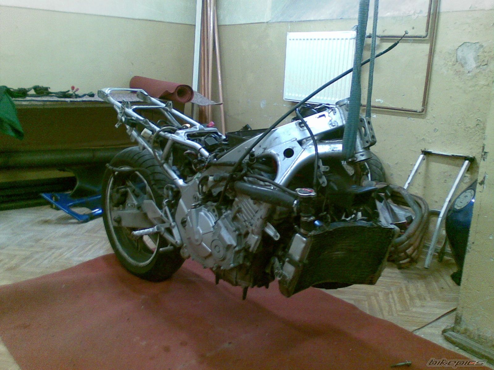 Photo 1533858