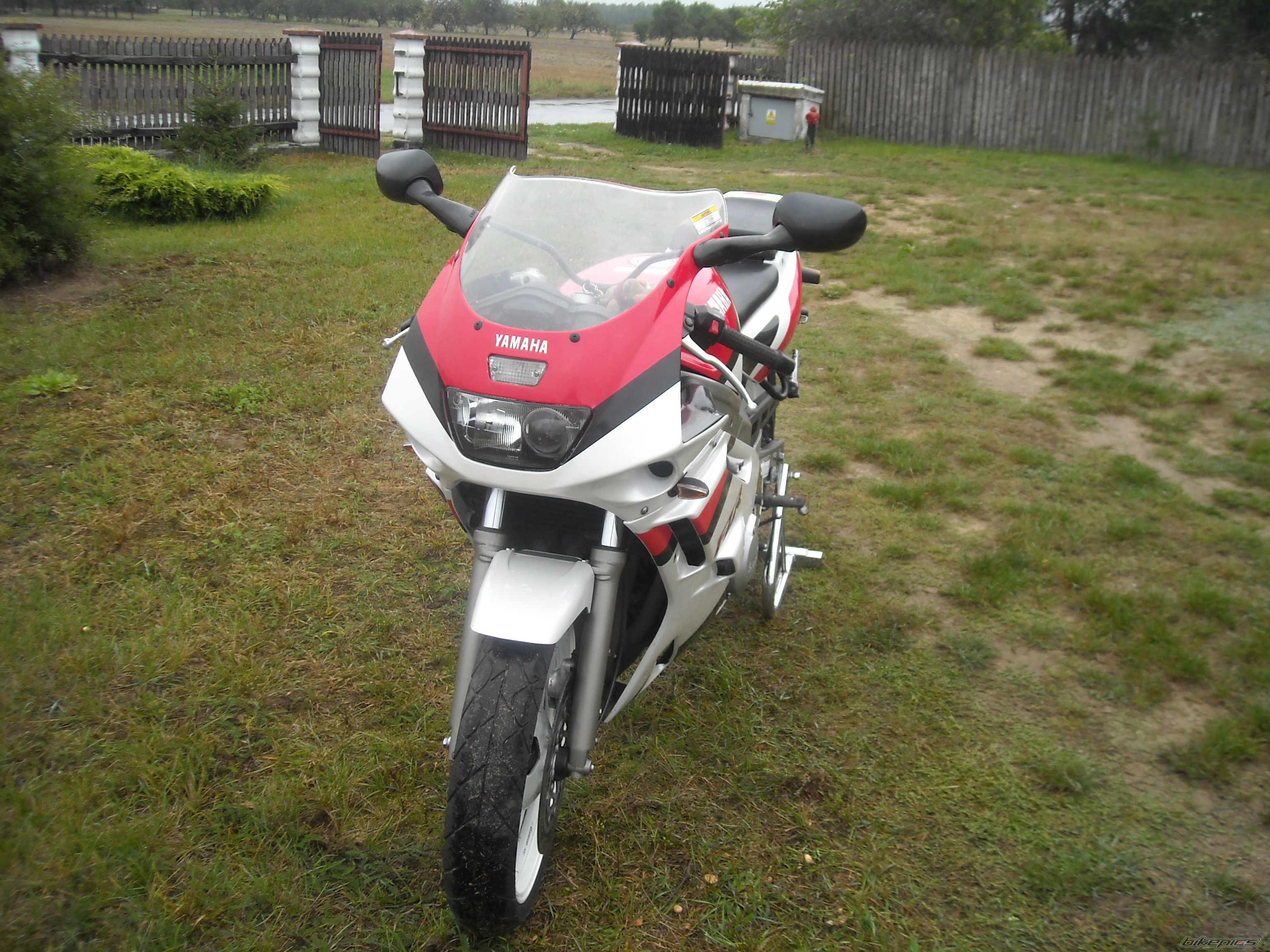 Photo 1533867