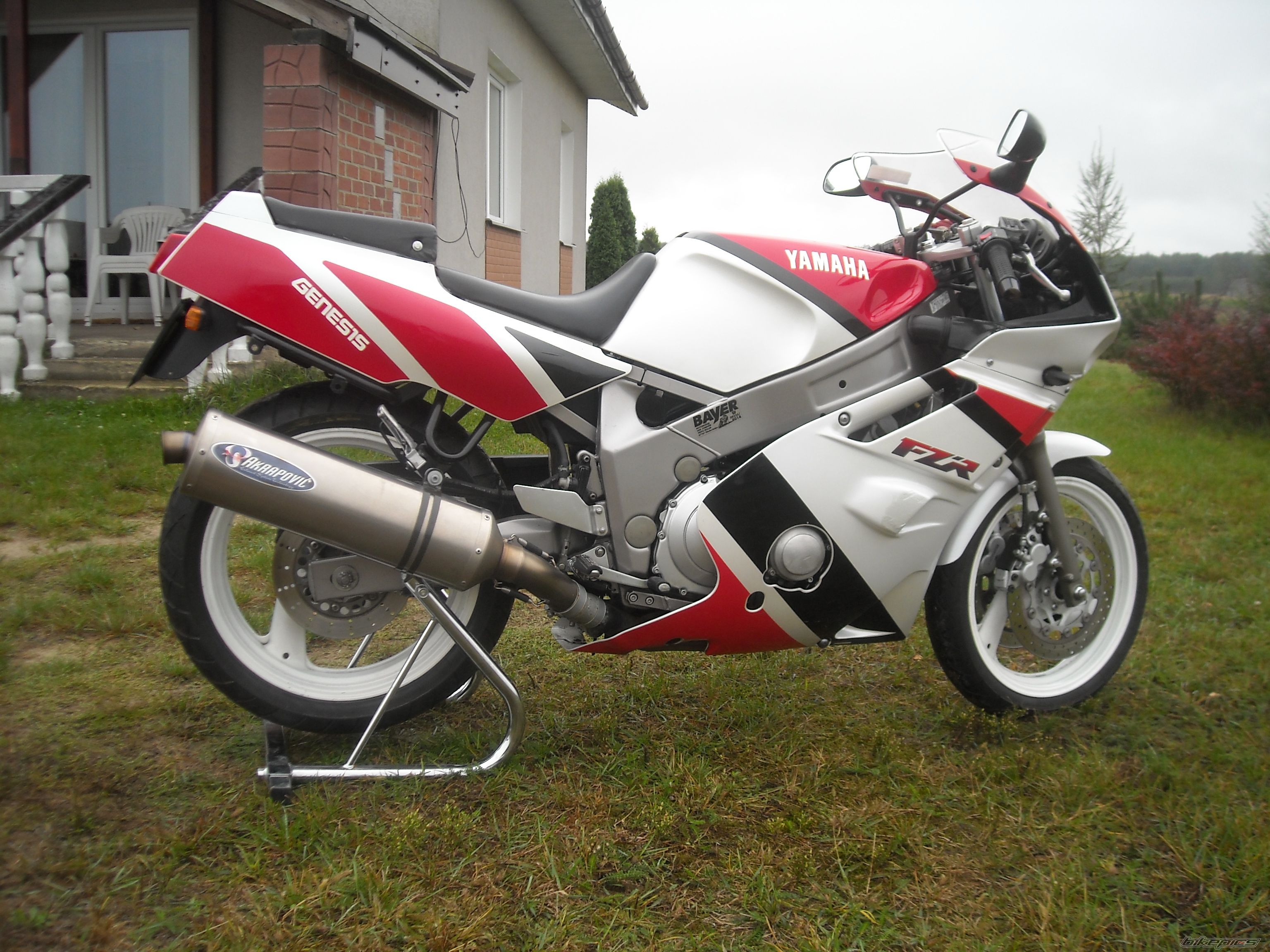 Photo 1533883