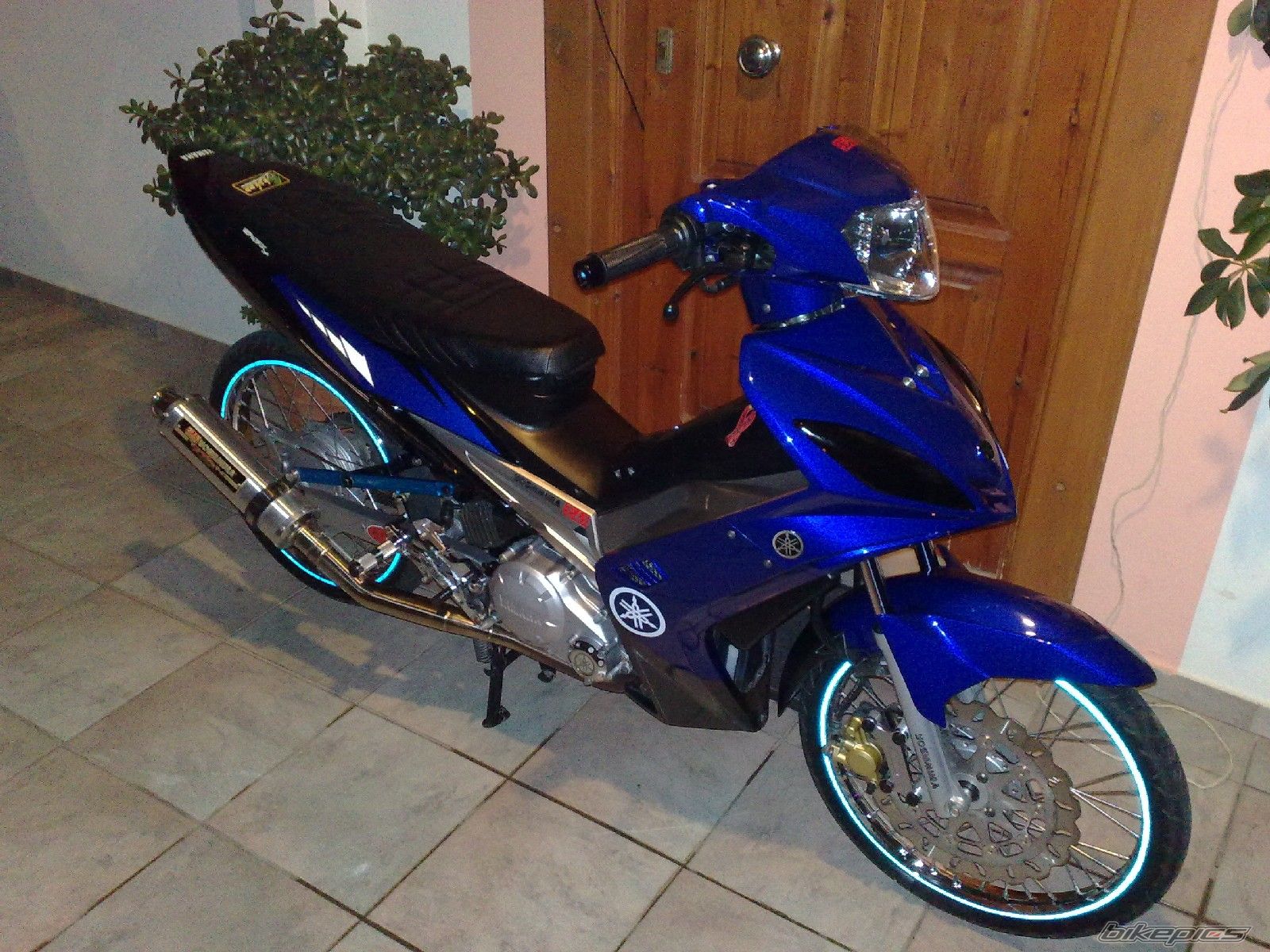 Photo 1533937