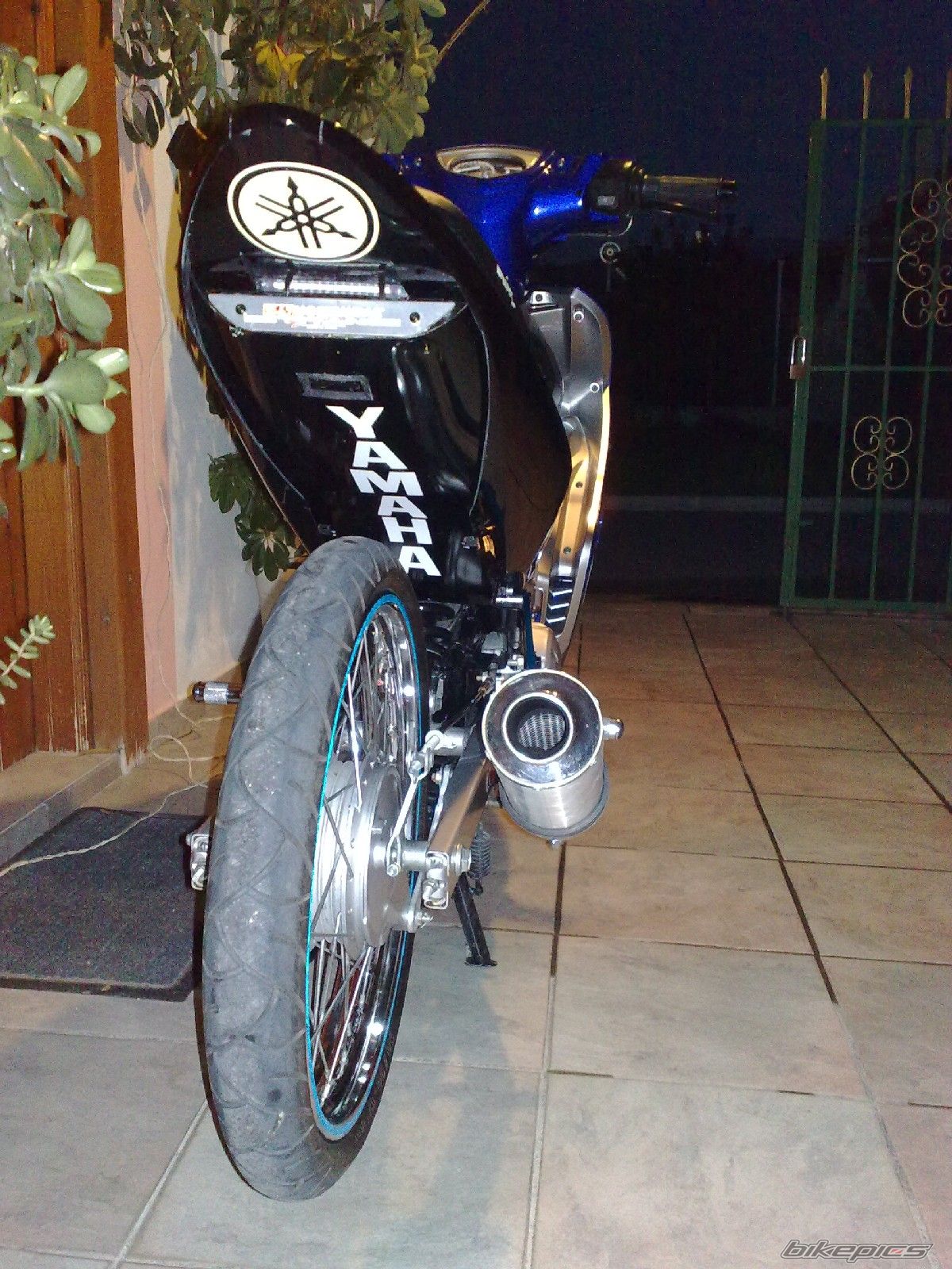 Photo 1533939