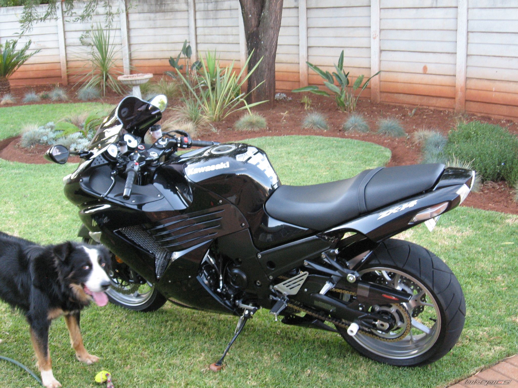 Bike Photo 1533961