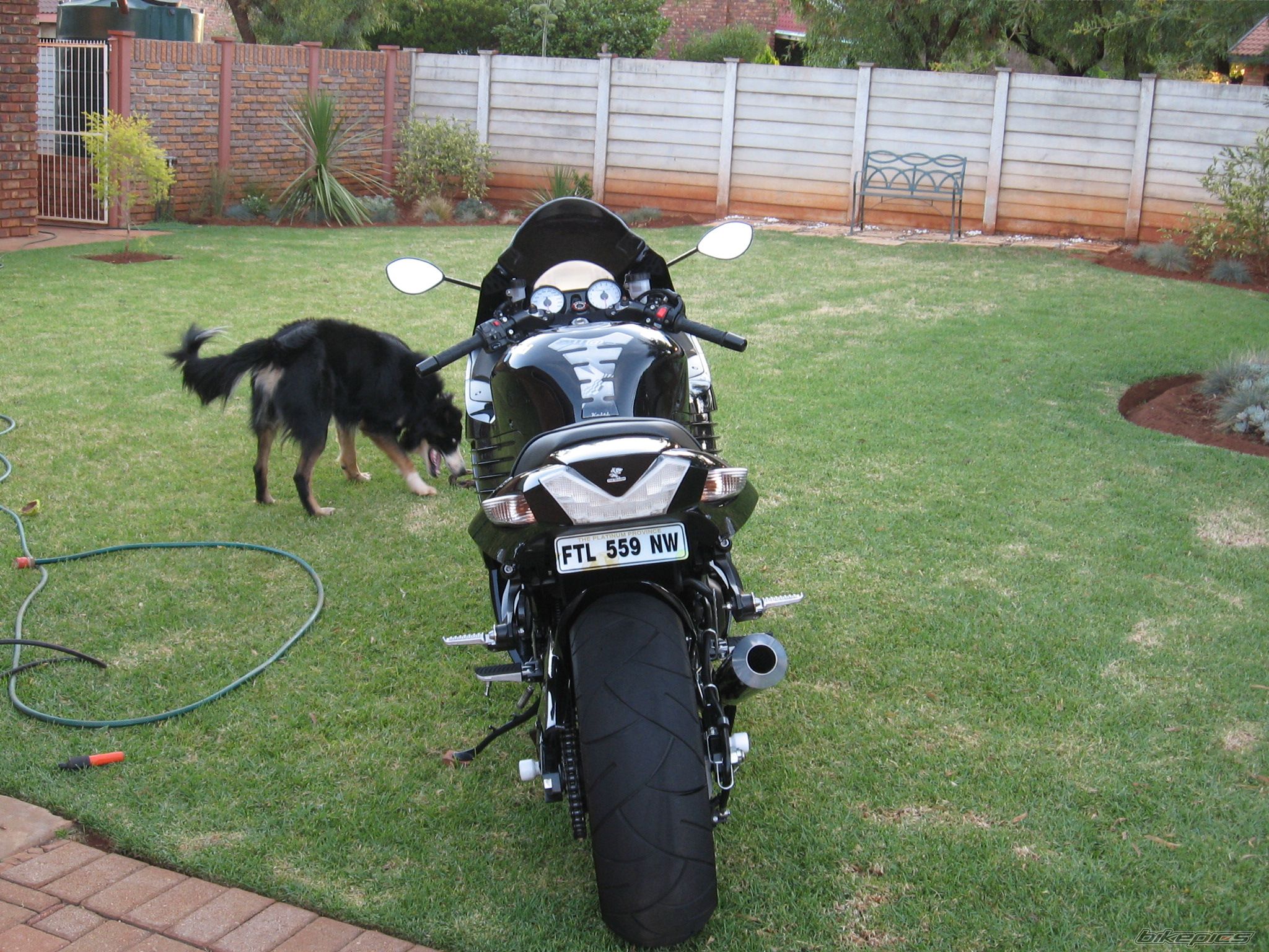 Bike Photo 1533970