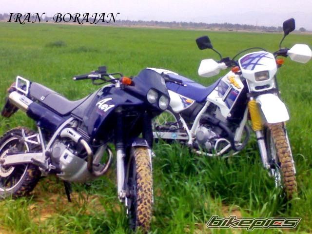 Photo 1534158