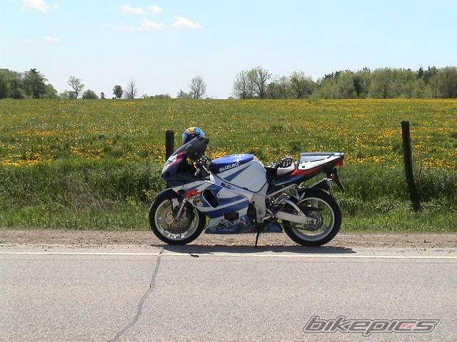 Photo 153421