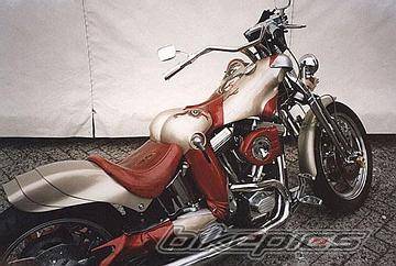 Photo 153445