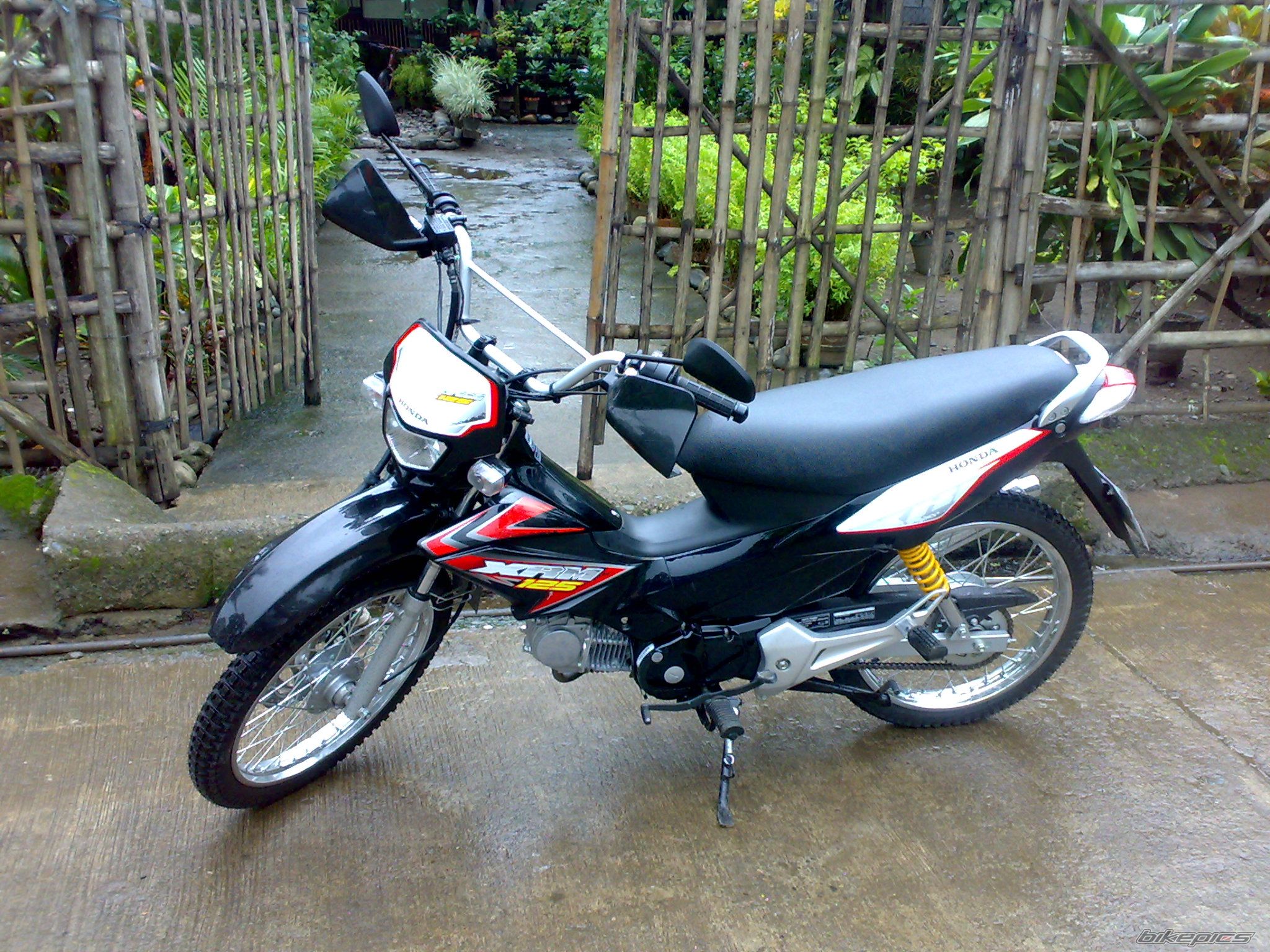 Bike Photo 1534453