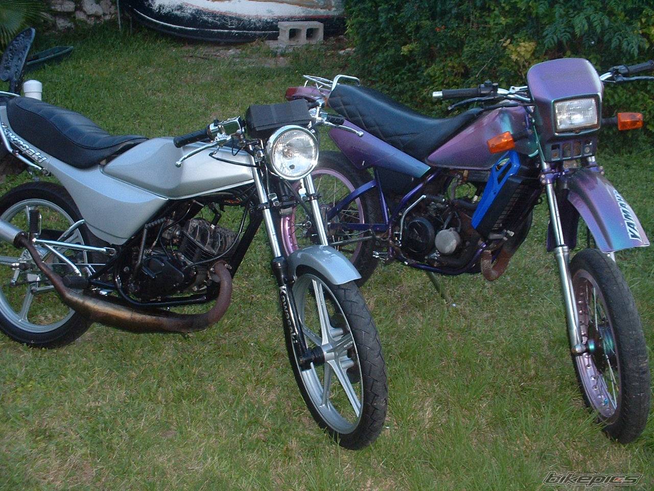 Photo 153449