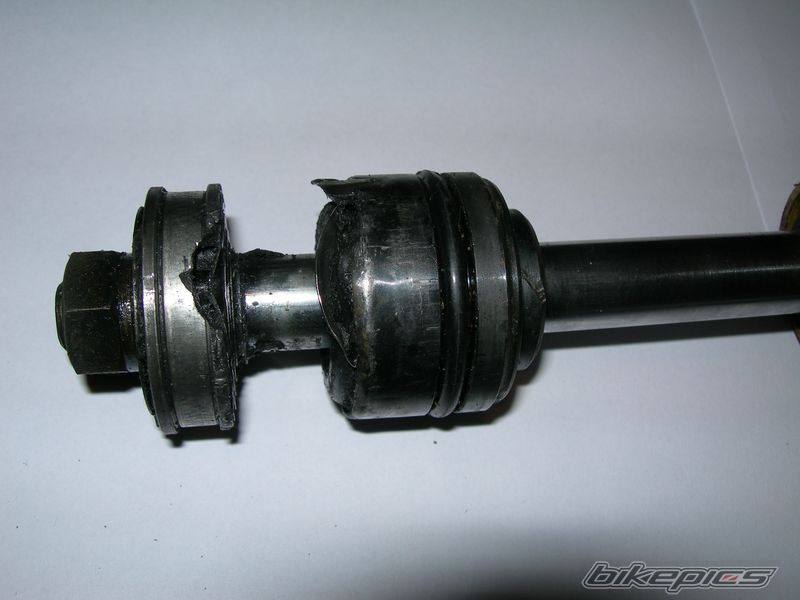 Photo 1534649