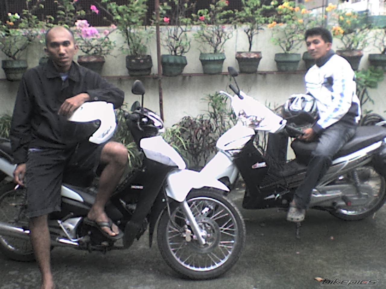 Photo 1534749