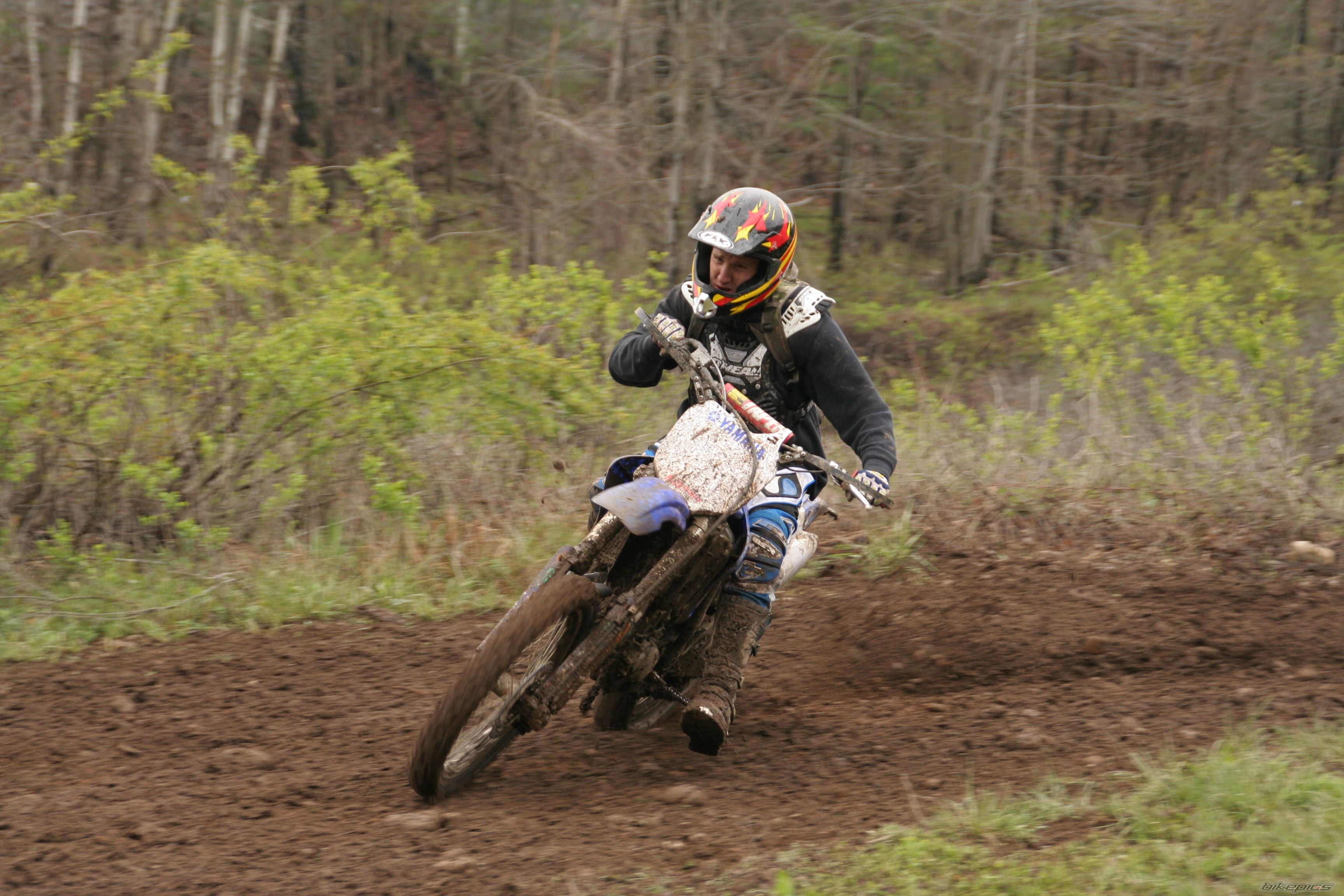 Photo 1534863