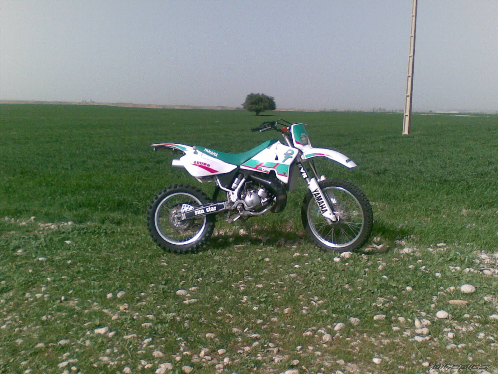 Photo 1534872